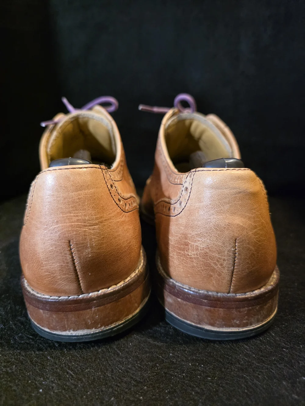 Cole Haan Brown Leather Wingtip Dress Shoes with Purple Laces Size 10.5